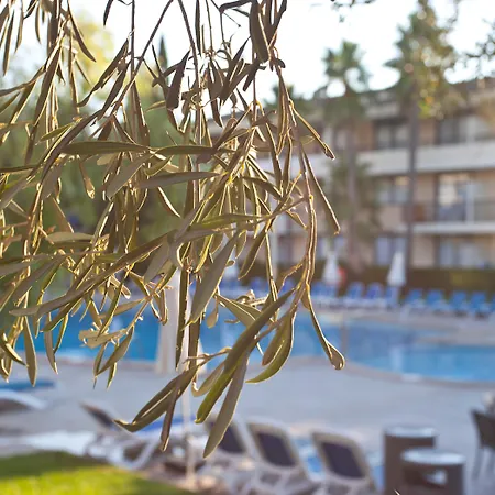 Appart hôtel Bahia Pollensa